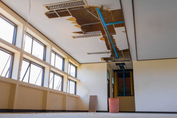 Best Water damage restoration near me  in Manchester, NH