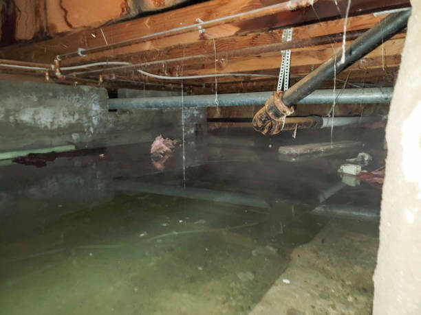 Best Ceiling water damage repair  in Manchester, NH