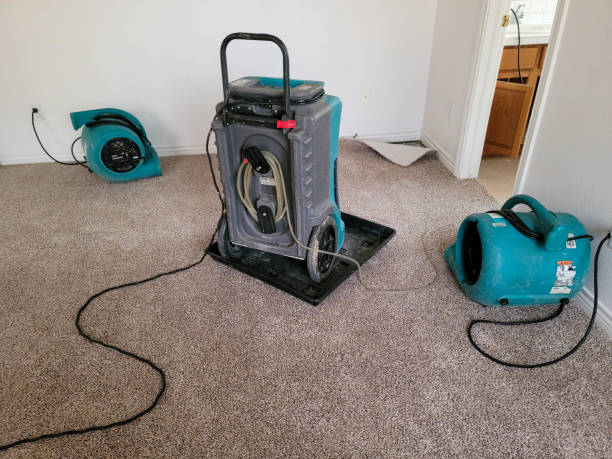 Best Water damage contractors near me  in Manchester, NH