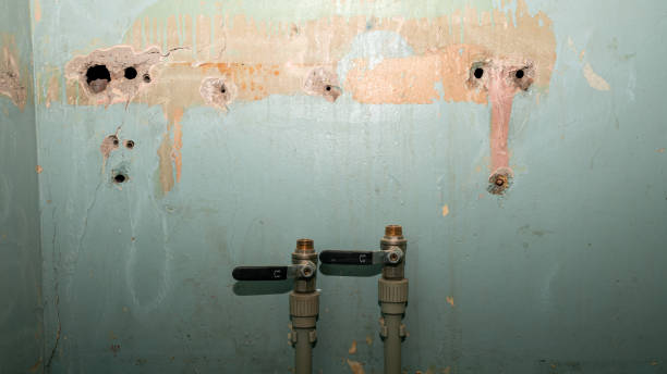Best Carpet water damage restoration  in Manchester, NH