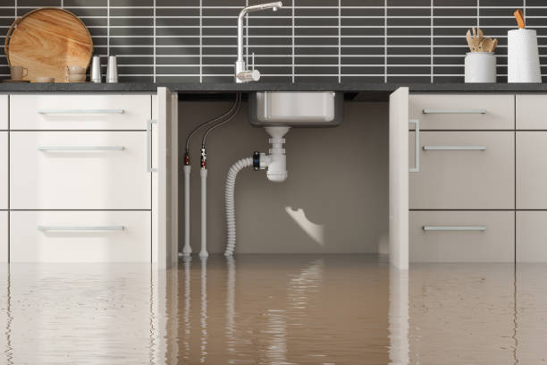 Best 24/7 water damage repair  in Manchester, NH