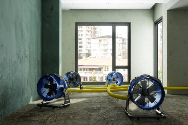 Best Water damage mitigation services  in Manchester, NH
