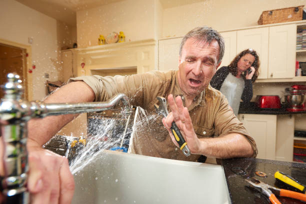 Best Mold removal after water damage  in Manchester, NH